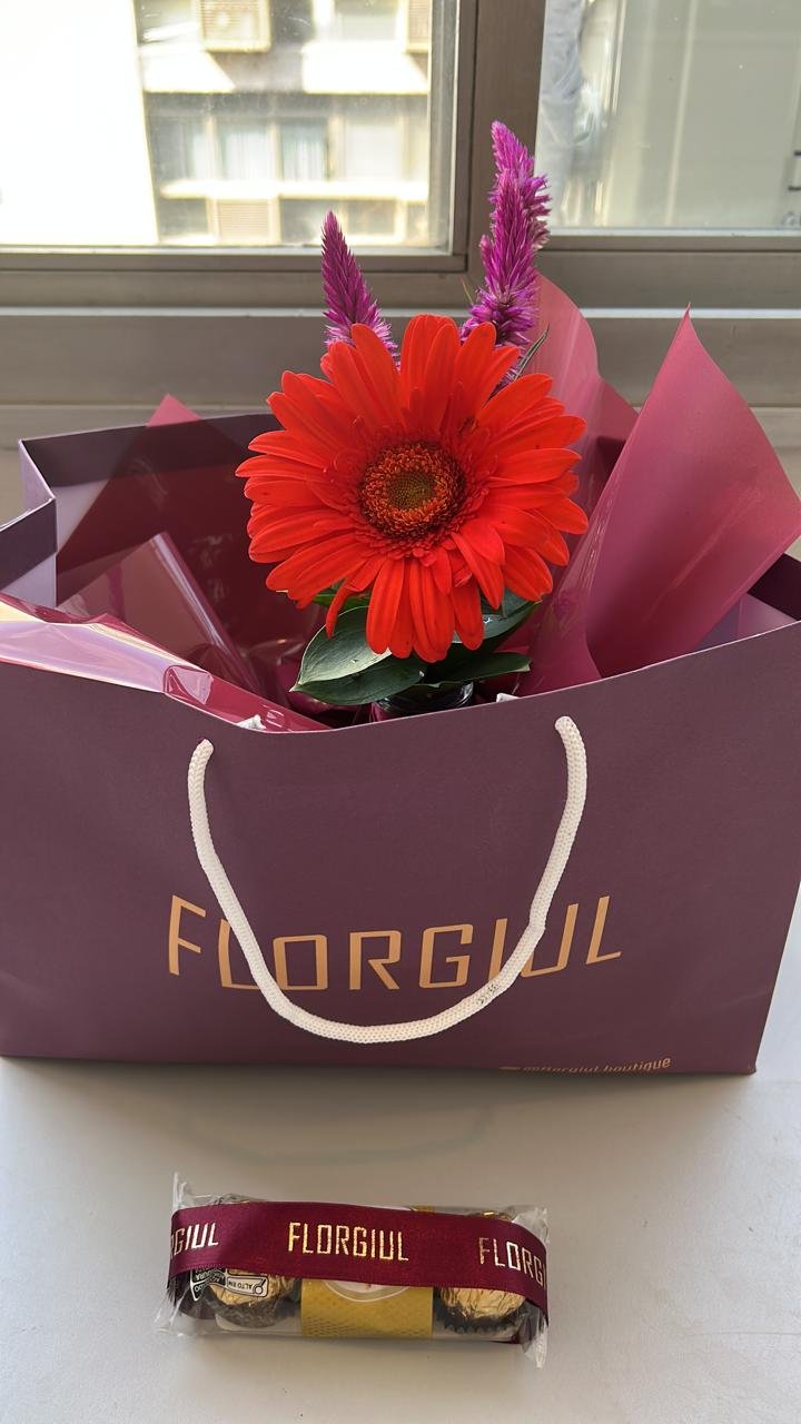 Sacola bordô personalizada da Florgiul contendo um pequeno arranjo floral com flores da semana e folhagens verdes. À frente da sacola há um mimo embalado com fita personalizada da marca. — foto 2